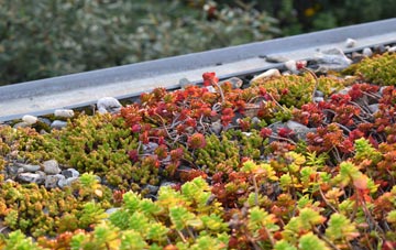 the cost of Kirkintilloch green roof installation