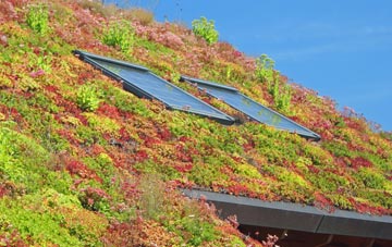 Kirkintilloch living roof systems