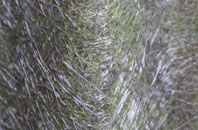 Kirkintilloch fibreglass roof work